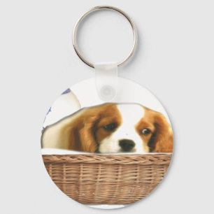Puppy Dogs Keychain