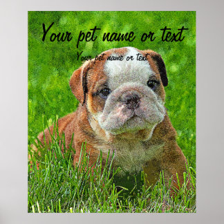 Puppy English Bulldog in the Meadow Poster