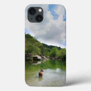 Puppy Exploring Barton Creek - Austin Texas iPhone 13 Case