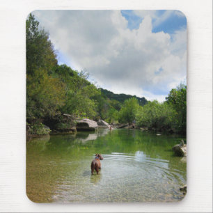 Puppy Exploring Barton Creek - Austin Texas Mouse Pad