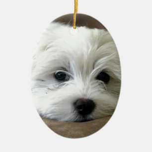 Puppy Eyes Ceramic Ornament