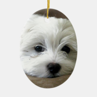 Puppy Eyes Ceramic Ornament