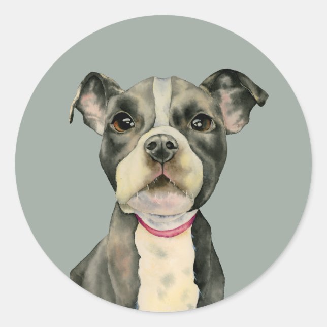 Puppy Eyes | Cute Pit Bull Terrier Dog Classic Round Sticker (Front)