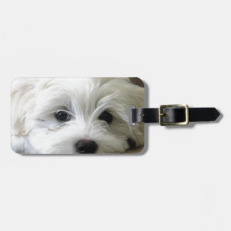 Puppy Eyes Luggage Tag
