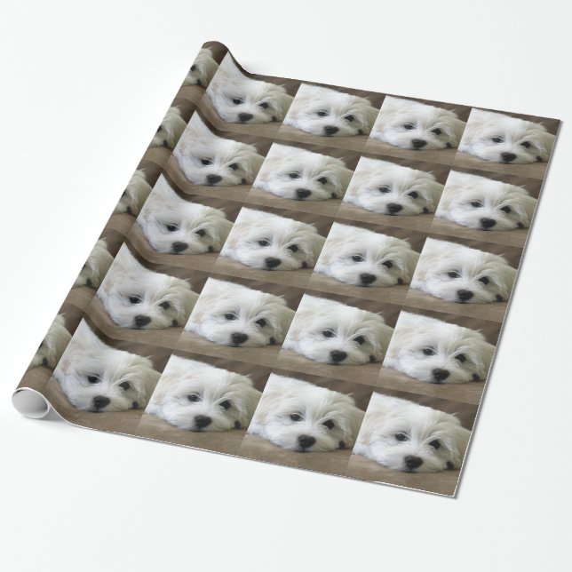Puppy Eyes Wrapping Paper (Unrolled)