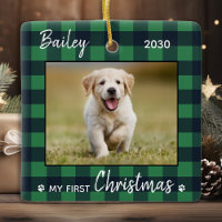 Puppy First Christmas Green Plaid Dog Pet Photo