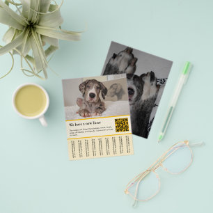 puppy for sale flyer templates