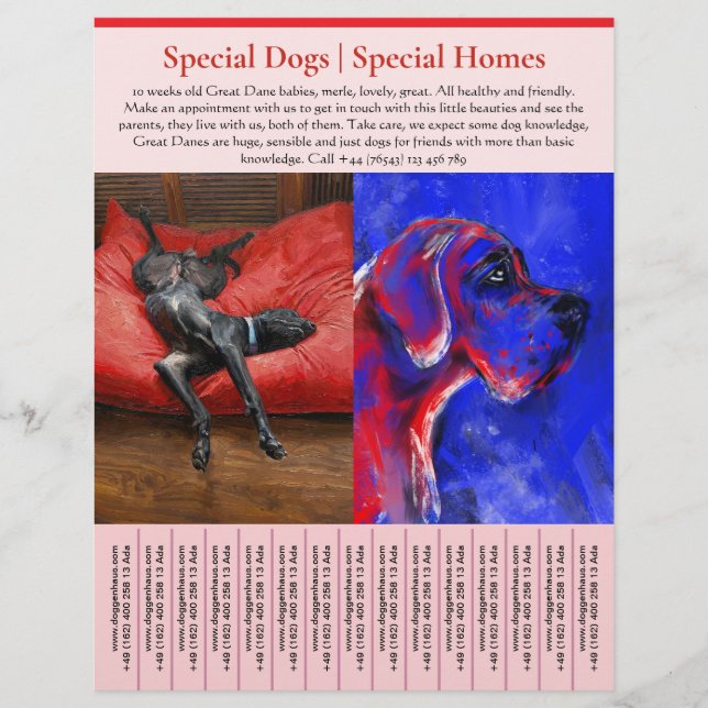 puppy for sale flyer templates (Front)