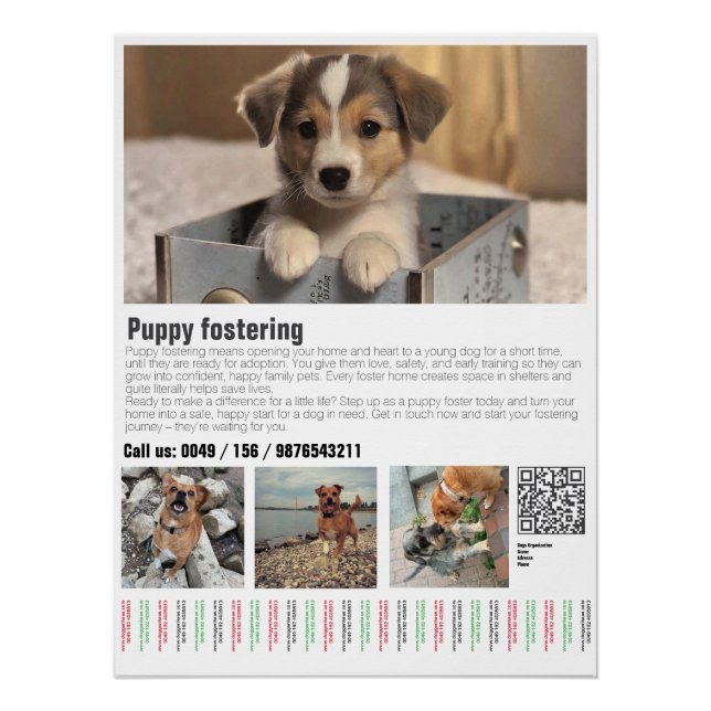 Puppy Fostering Poster  (Front)