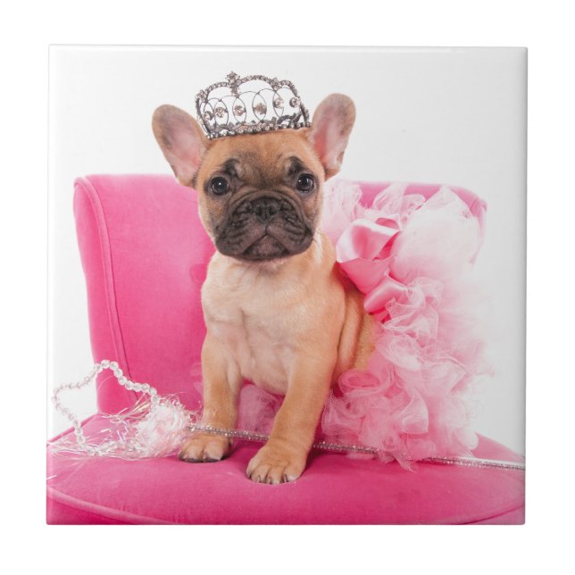 Puppy french bulldog disguised tile (Front)