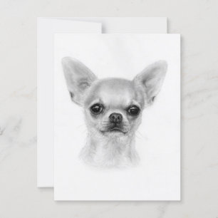 Puppy Gaze - Hand Painted Chihuahua Art Postcard