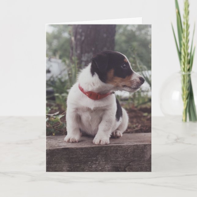 Puppy greeting card (Front)