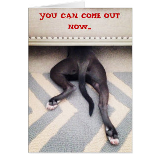 Puppy hiding under couch