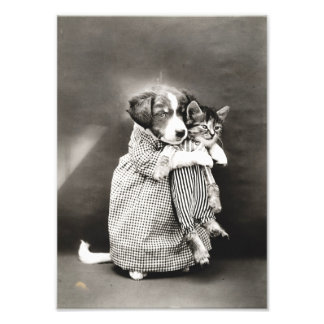 Puppy Holding Small Kitten Photo Print