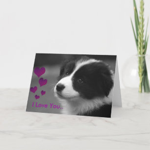 Puppy, I love you Card