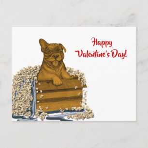 Puppy in a Box , Happy Valentine's Day! Postcard