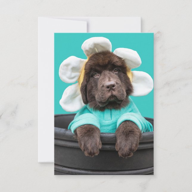 Puppy in a flower pot greeting card (Front)
