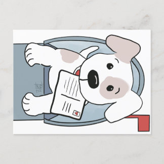 Puppy in a Mailbox postcard