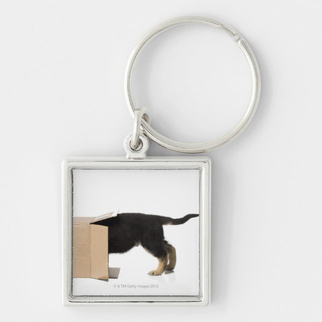 Puppy in cardboard box keychain (Front)