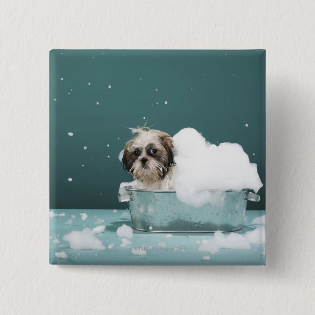 Puppy in foam bath 2 inch square button (Front)