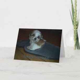 Puppy in slipper, congratulations puppy adoption. card
