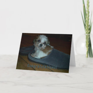 Puppy in slipper, congratulations puppy adoption. card