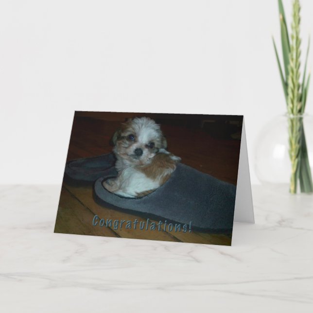 Puppy in slipper, congratulations puppy adoption. card (Front)