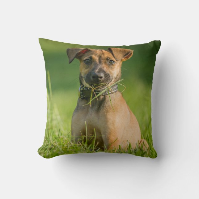 Puppy In The Grass Throw Pillow (Front)