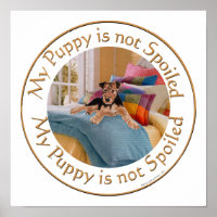 Puppy is Not Spoiled