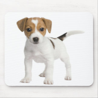 Puppy Jack russell Mouse Pad