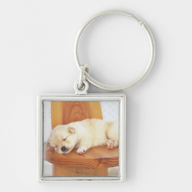 Puppy Keychain (Front)