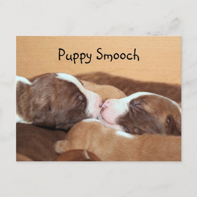 Puppy kiss postcard (Front)