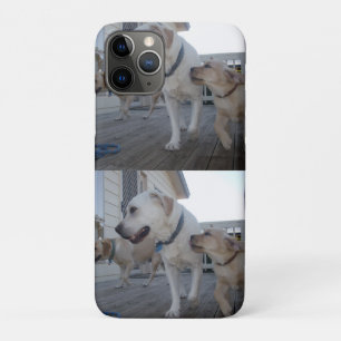 Puppy Kisses: Cream Colour Labrador Family Love,  iPhone 11 Pro Case