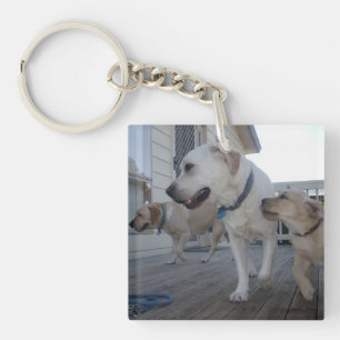 Puppy Kisses: Cream Colour Labrador Family Love,  Keychain
