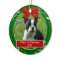 Puppy Kitten 1st Christmas Red Green Holly Berries