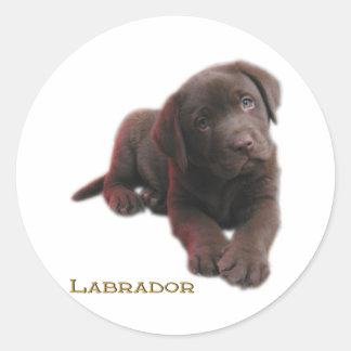 Puppy Lab Classic Round Sticker
