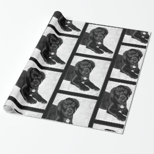 Puppy love black labrador wrapping paper