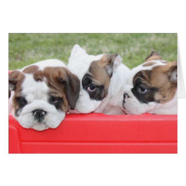 Puppy Love customizable card (Front Horizontal)