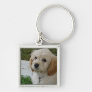 Puppy Love - Cute MaltiPoo Dog Photo Keychain