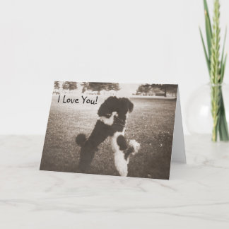Puppy Love Greeting Card