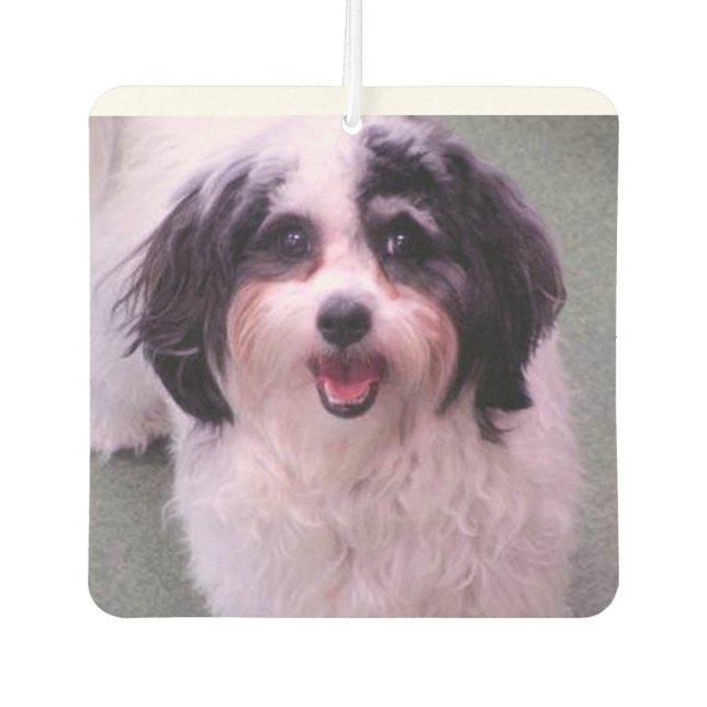 Puppy Love K-Cee Valentine Air Freshener (Front)