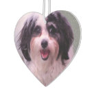 Puppy Love K-Cee Valentine