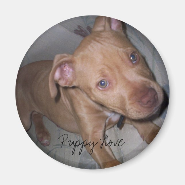 Puppy Love Magnet (Front)