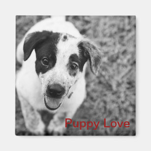 Puppy Love Magnet