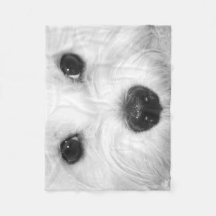 Puppy Love Maltese Magic in Every Glance Fleece Blanket