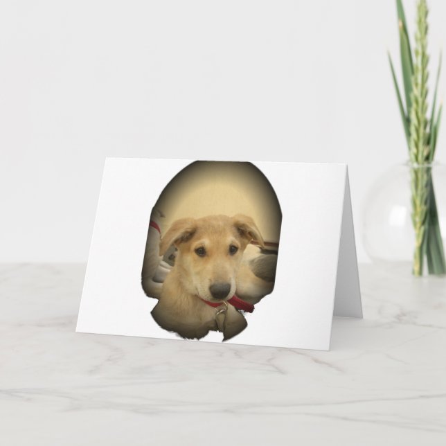 Puppy Love: Man's Best Friend Card (Front)