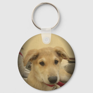 Puppy Love: Man's Best Friend Keychain