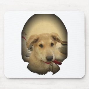Puppy Love: Man's Best Friend Mouse Pad