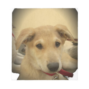 Puppy Love: Man's Best Friend Notepad