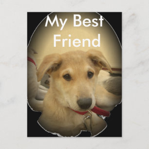 Puppy Love: Man's Best Friend Postcard